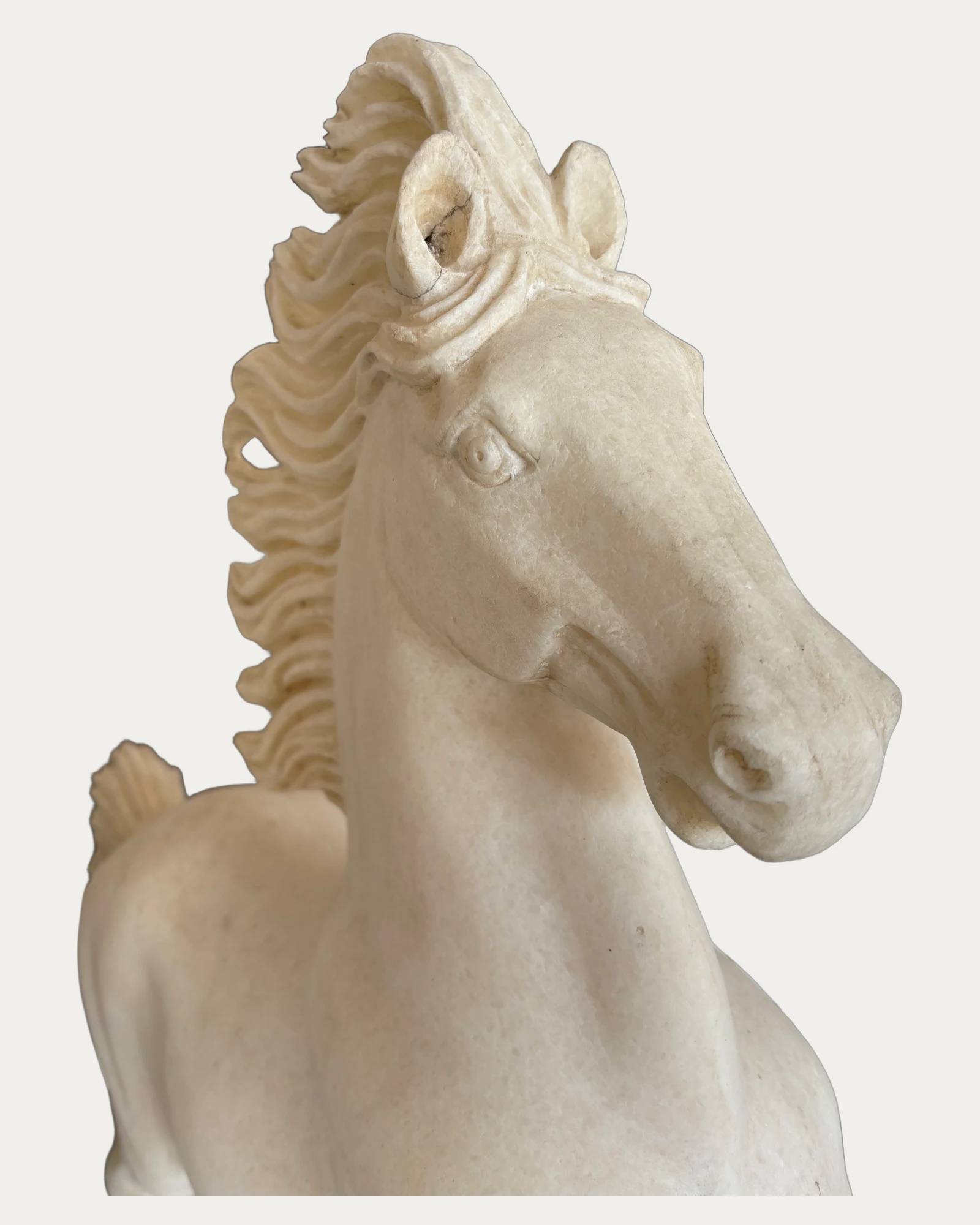 Rearing Horse Statue, carving and surface detail 1