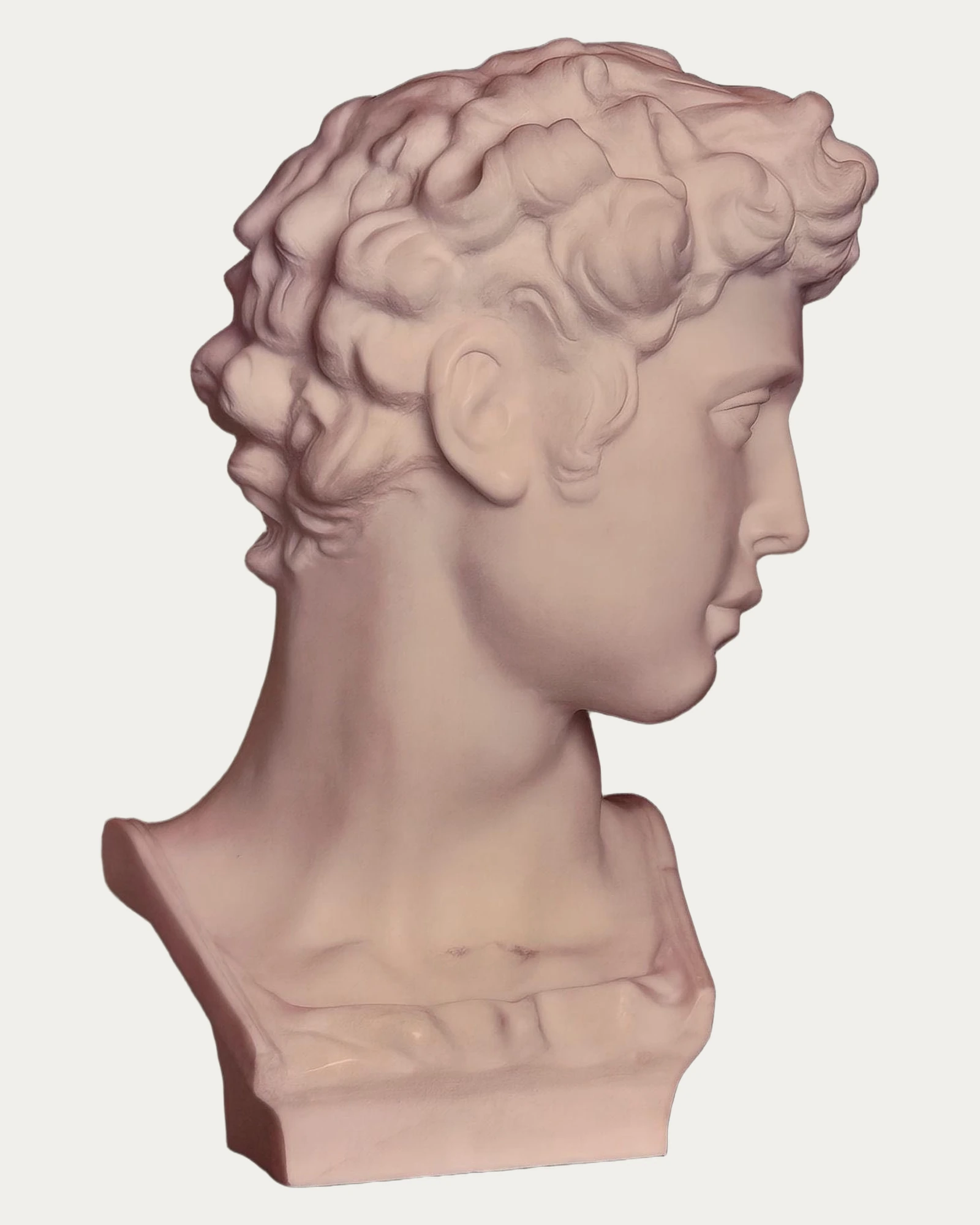 Decorative Bust CS-0100